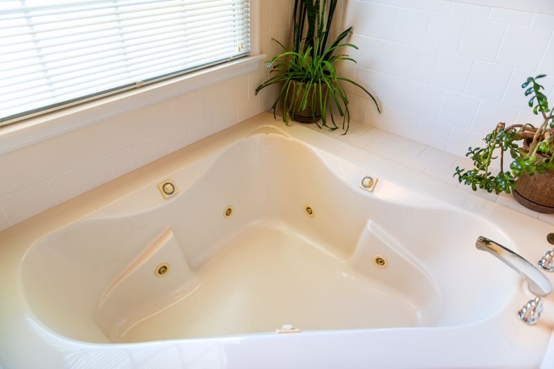 Japanese Style Bathtub